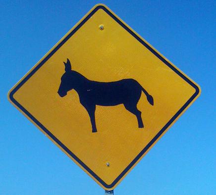 Donkeycrossing