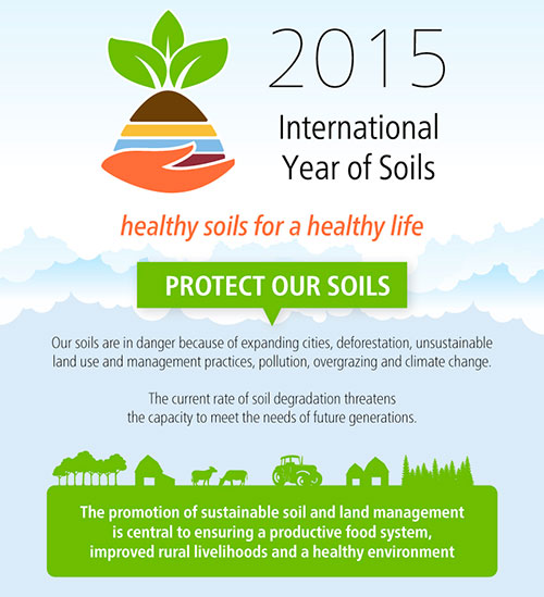 FAO-Infographic-IYS2015-en