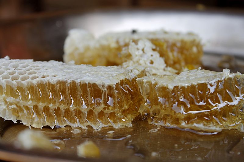 Organic_Honey_(1)