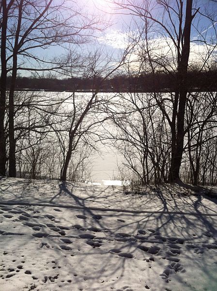 Antrim_Park_in_Columbus,_Ohio_USA_2