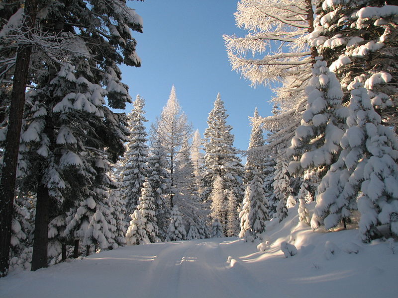 Snow_covers_path_to_Mt__Howard_(12645435104)