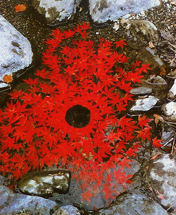 goldsworthy4