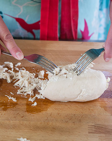 shredded-chicken_8996
