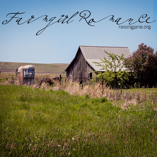 farm-romance-0593