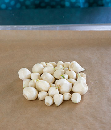 garlic-spread_0136