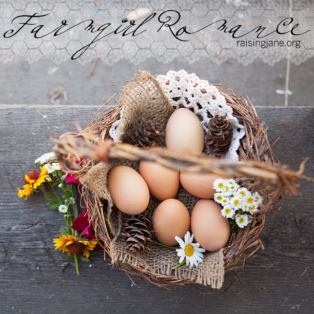 photo-of-the-day-eggs_2730