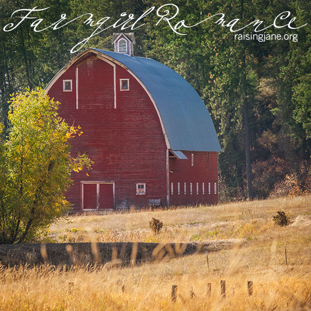 farm-romance-0298