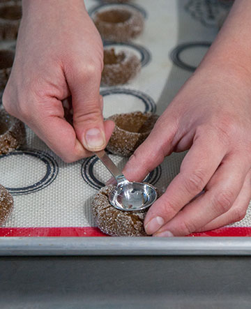 ginger-snap-cookies_9968