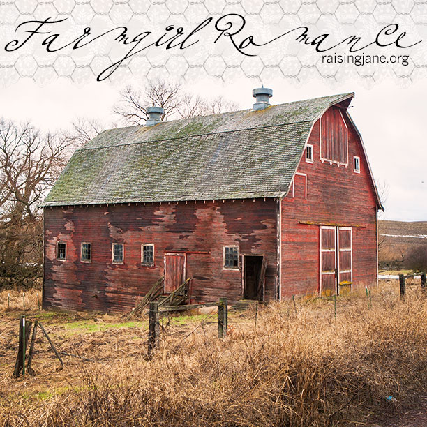 farm-romance_7417