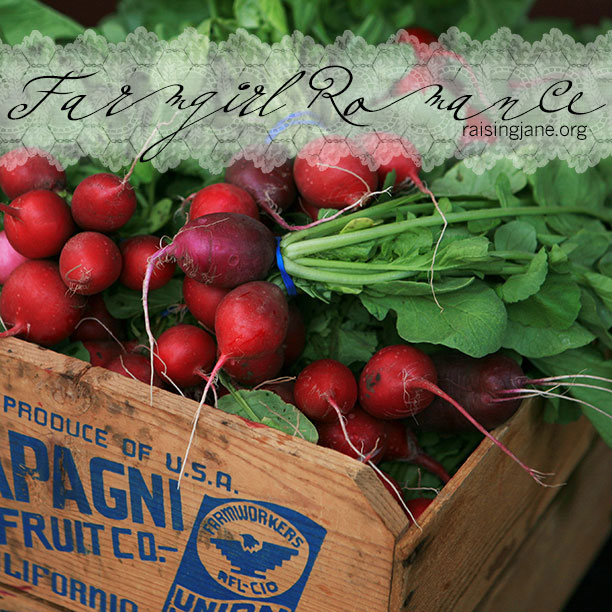 farm_romance-radishes-2