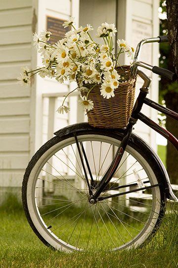 bike-flowersDSC_7404
