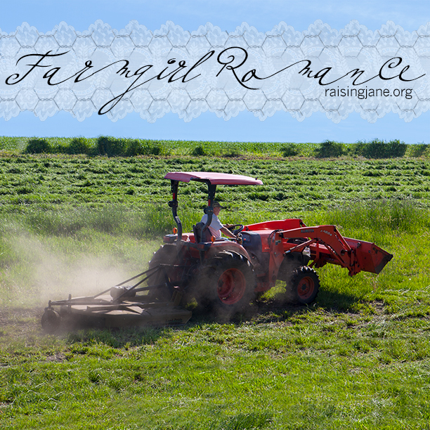 farm-romance_6657