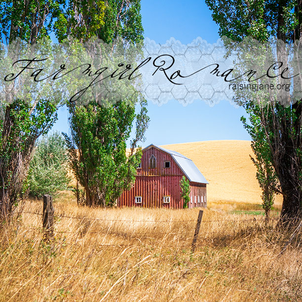 farm-romance-8085