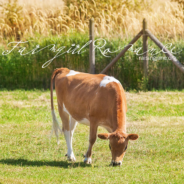 farm-romance_9003