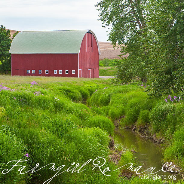 farm-romance_6728