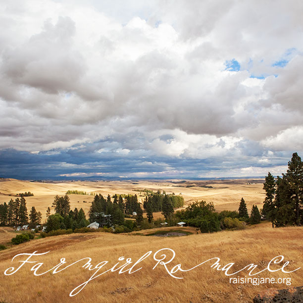 palouse-romance_3568