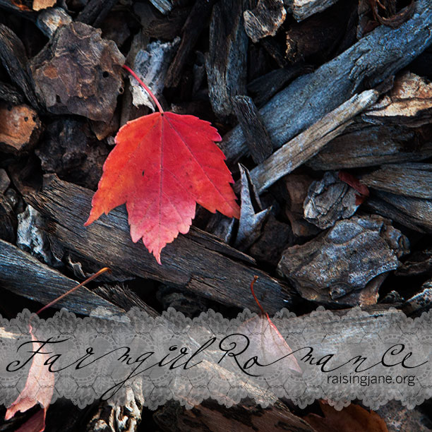 red-leaf-cropped_7034