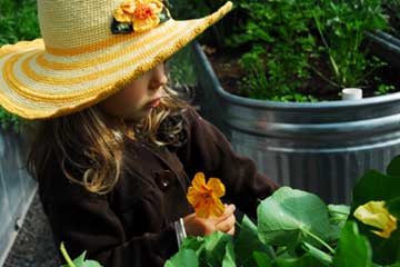 Stella among the nasturtiums in her sun hat, again.