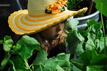 Stella in a sun hat amidst her nasturtiums